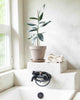 stack of washcloths on bathtub by a plant